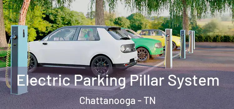 Electric Parking Pillar System Chattanooga - TN