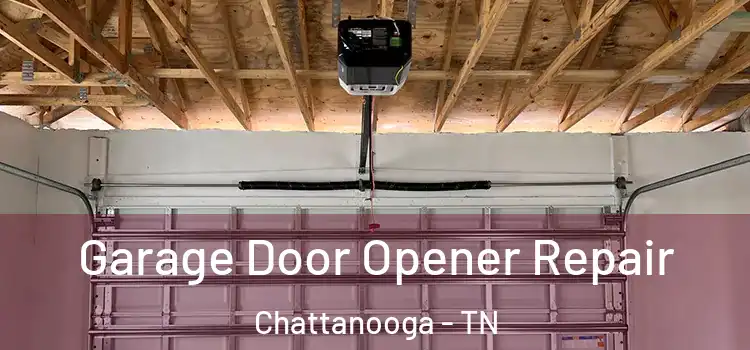  Garage Door Opener Repair Chattanooga - TN