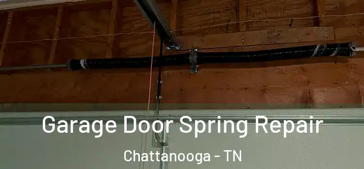  Garage Door Spring Repair Chattanooga - TN