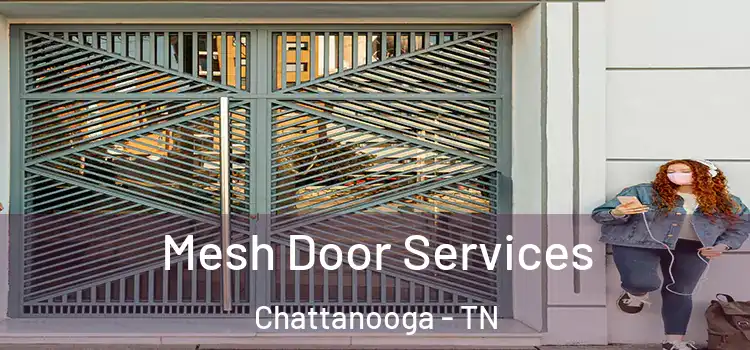 Mesh Door Services Chattanooga - TN